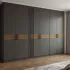 Современный шкаф с распашными дверями в матовом графитовом цвете