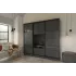 Функциональный шкаф-купе с темными стеклами D 490
